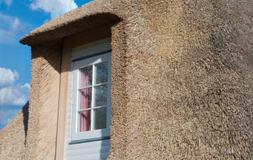 Silverwell thatch roof disadvantages